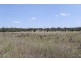 Goodger QLD 4610