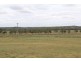 Kingaroy QLD 4610