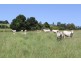lot 79 corndale road, Corndale QLD 4610