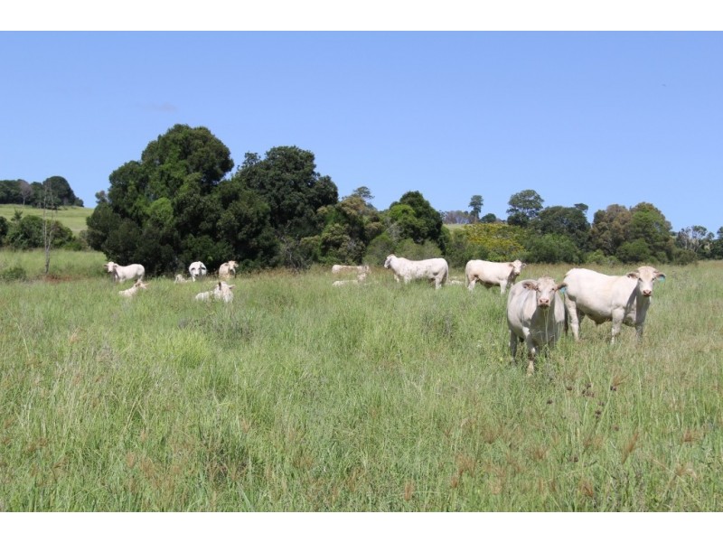 lot 79 corndale road, Corndale QLD 4610