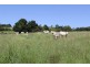 lot 79 corndale road, Corndale QLD 4610