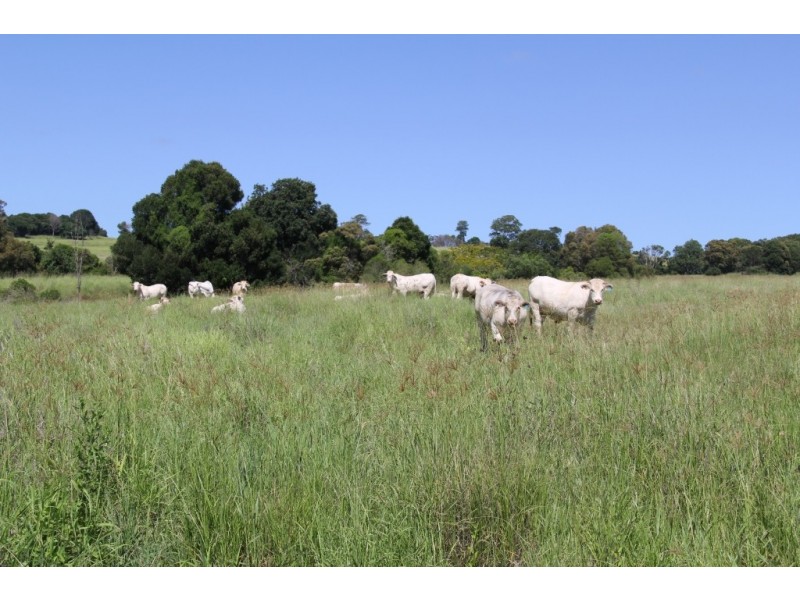 lot 79 corndale road, Corndale QLD 4610