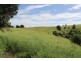 lot 79 corndale road, Corndale QLD 4610