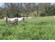 lot 79 corndale road, Corndale QLD 4610