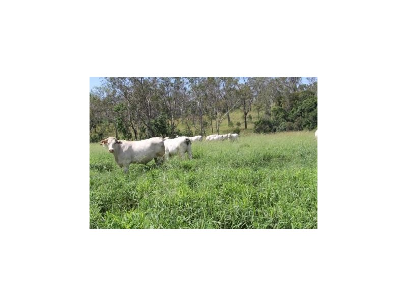 lot 79 corndale road, Corndale QLD 4610