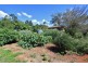 Ellesmere QLD 4610