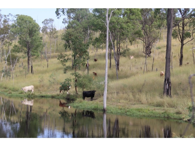 Wilkesdale QLD 4608