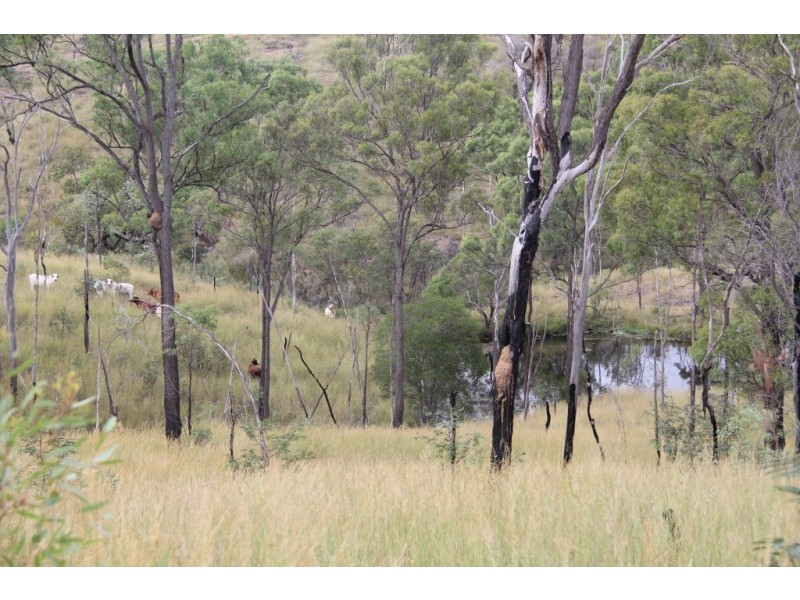 Wilkesdale QLD 4608