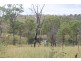 Wilkesdale QLD 4608