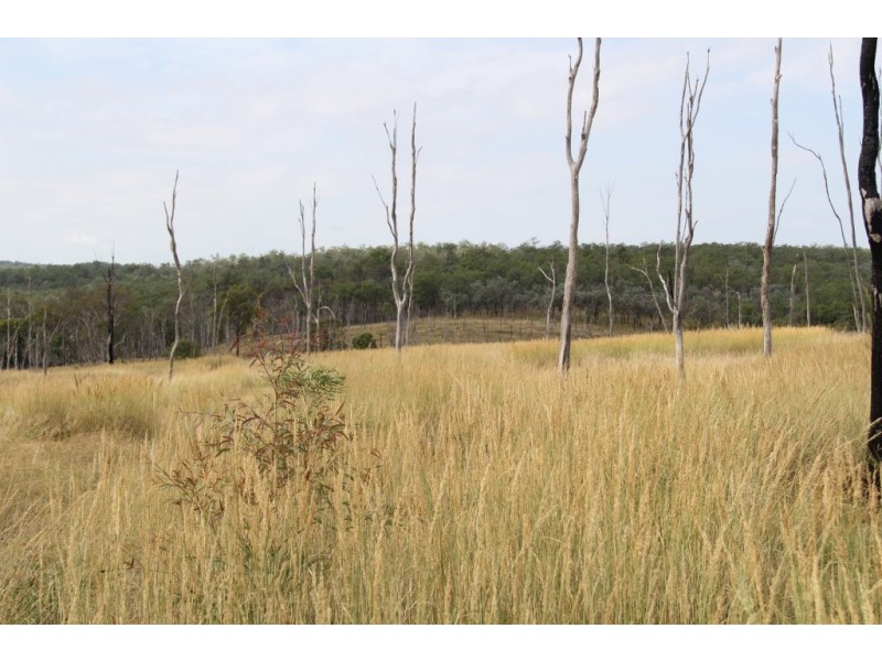 Wilkesdale QLD 4608