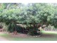Gordonbrook QLD 4610
