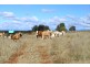 Kingaroy QLD 4610