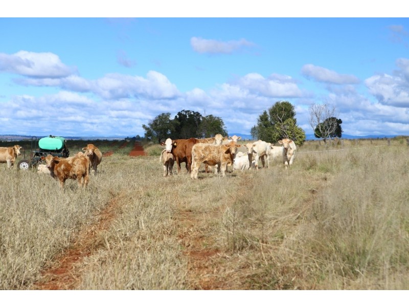 Kingaroy QLD 4610