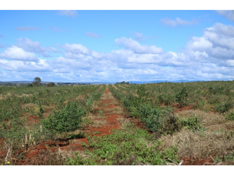 Kingaroy QLD 4610