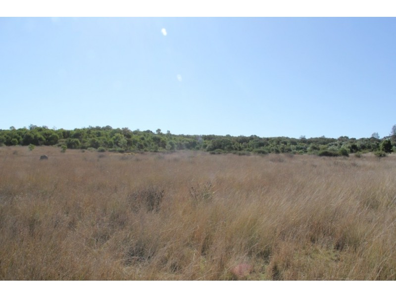 Kingaroy QLD 4610
