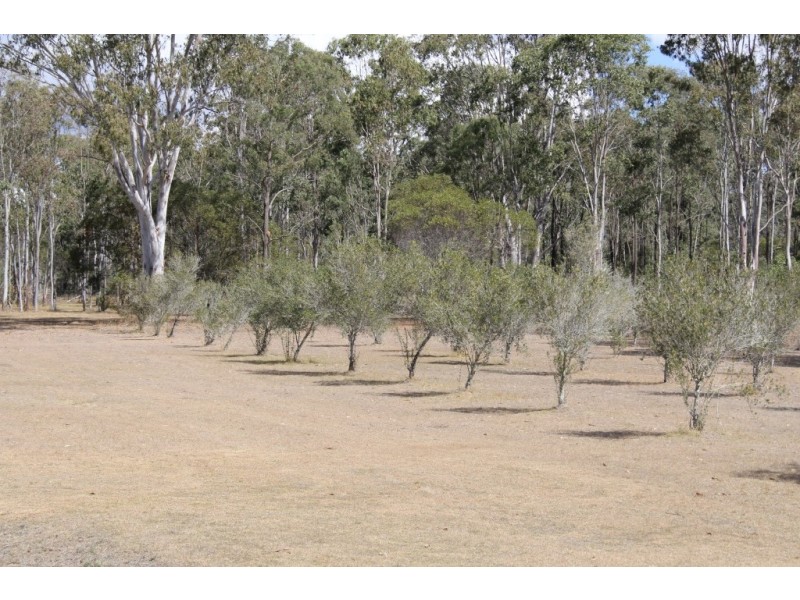 Wattle Camp QLD 4615