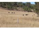 Lot 43 Wengenville Glencliffe rd, Wengenville QLD 4615