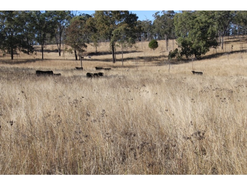 Lot 43 Wengenville Glencliffe rd, Wengenville QLD 4615