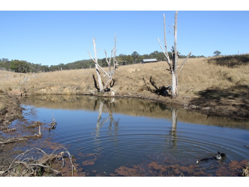 Lot 43 Wengenville Glencliffe rd, Wengenville QLD 4615