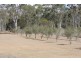 Wattle Camp QLD 4615