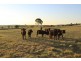 198 Hodges Road, Kingaroy QLD 4610