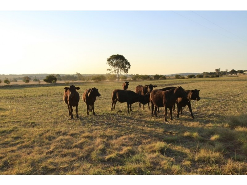 198 Hodges Road, Kingaroy QLD 4610