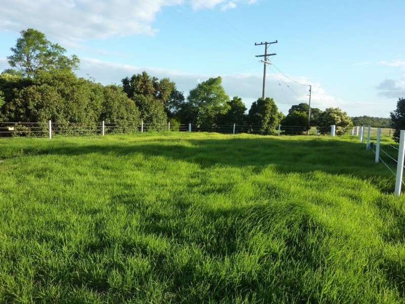 Kingaroy QLD 4610