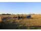 198 Hodges Road, Kingaroy QLD 4610