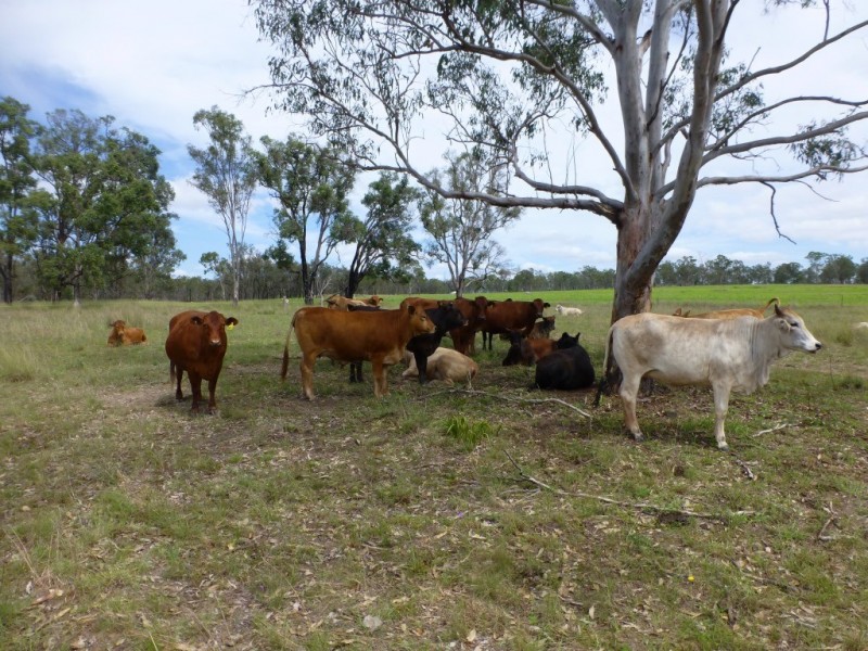 lot9 Wyuna road, Gordonbrook QLD 4610