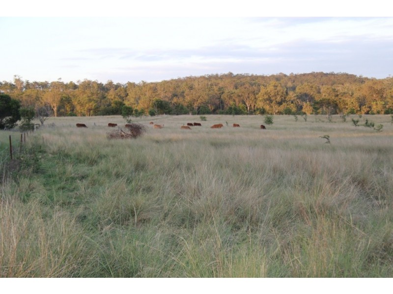 Kingaroy QLD 4610