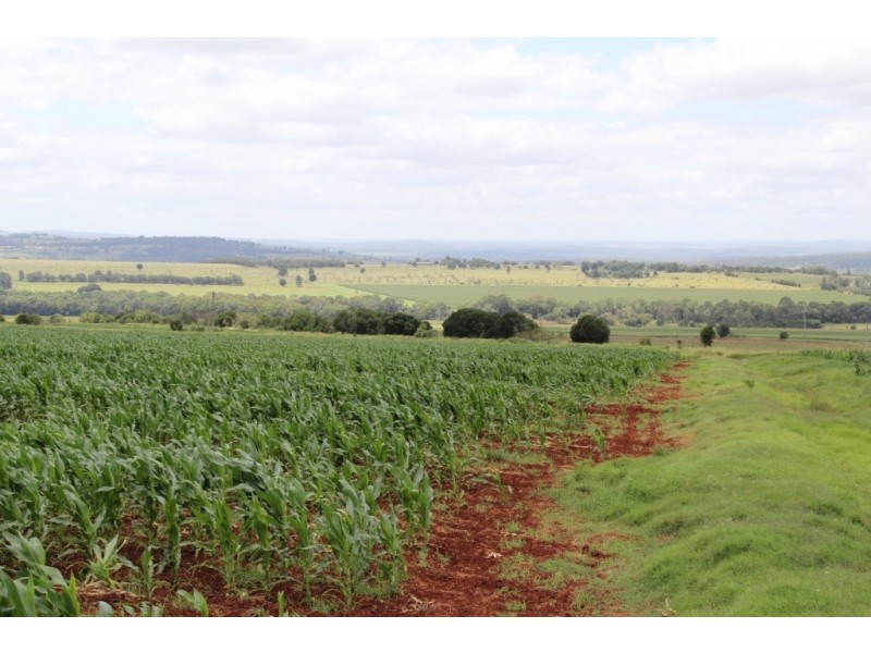 Kingaroy QLD 4610