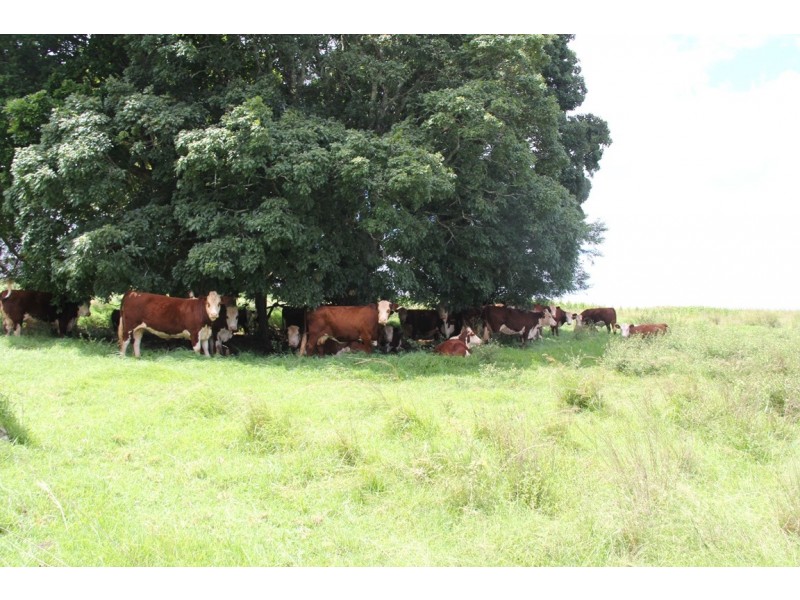 Kingaroy QLD 4610