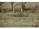 Tingoora QLD 4608