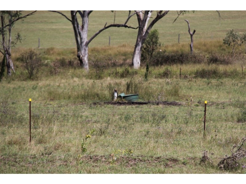 Tingoora QLD 4608
