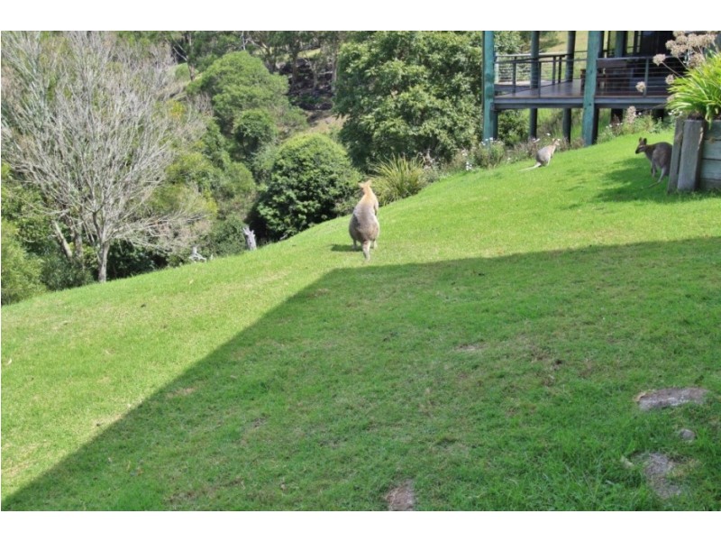 71 Rainforest Drive, Bunya Mountains QLD 4405