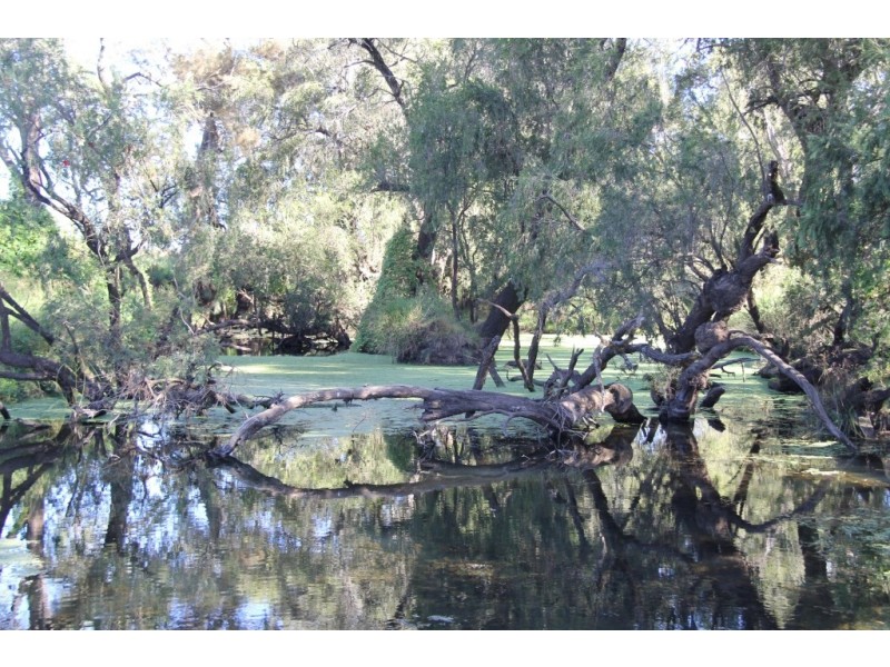 Nanango QLD 4615