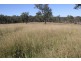 Nanango QLD 4615