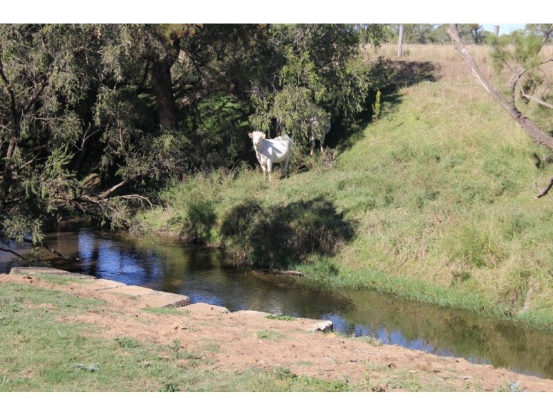 Nanango QLD 4615