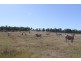 Nanango QLD 4615