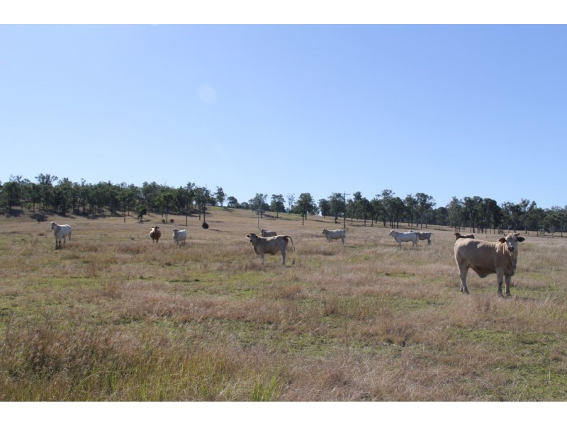 Nanango QLD 4615