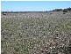 Cooks Gap NSW 2850