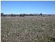 Cooks Gap NSW 2850