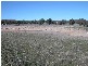 Cooks Gap NSW 2850