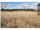 Cooks Gap NSW 2850