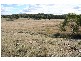 Cooks Gap NSW 2850