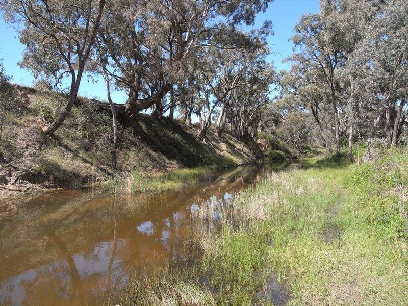 Cooyal NSW 2850