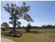 Cooyal NSW 2850