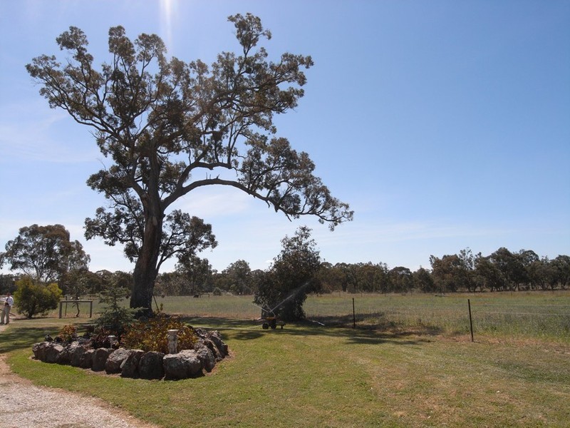 Cooyal NSW 2850