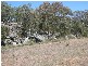 Ulan NSW 2850
