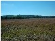 Botobolar NSW 2850